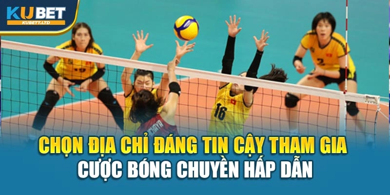 Chọn địa chỉ đáng tin cậy tham gia cược bóng chuyền hấp dẫn