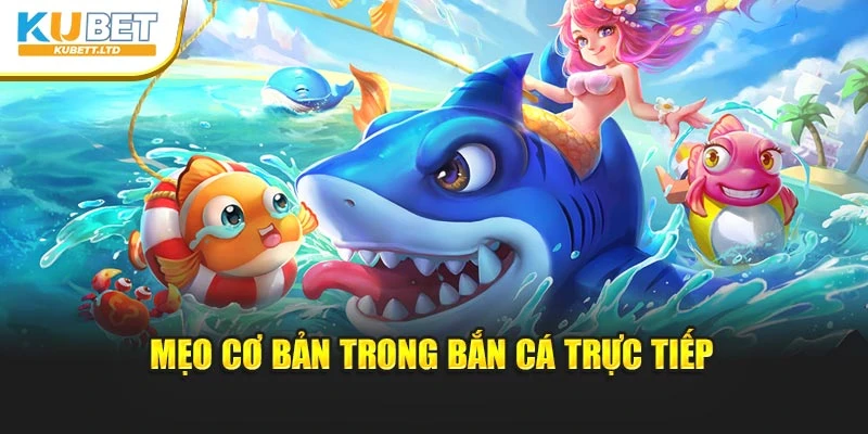 Mẹo cơ bản trong bắn cá trực tiếp