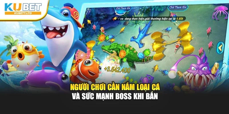 Người chơi cần nắm loại cá và sức mạnh Boss khi bắn