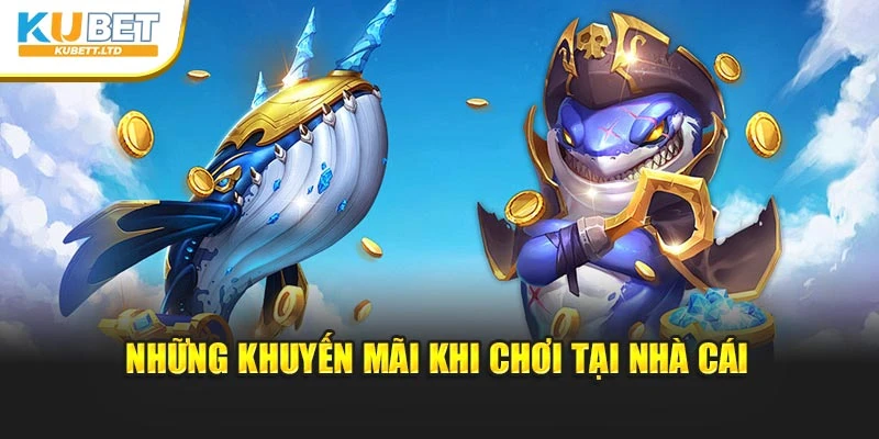 Những khuyến mãi khi chơi tại nhà cái