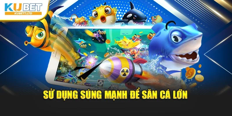 Sử dụng súng mạnh để săn cá lớn