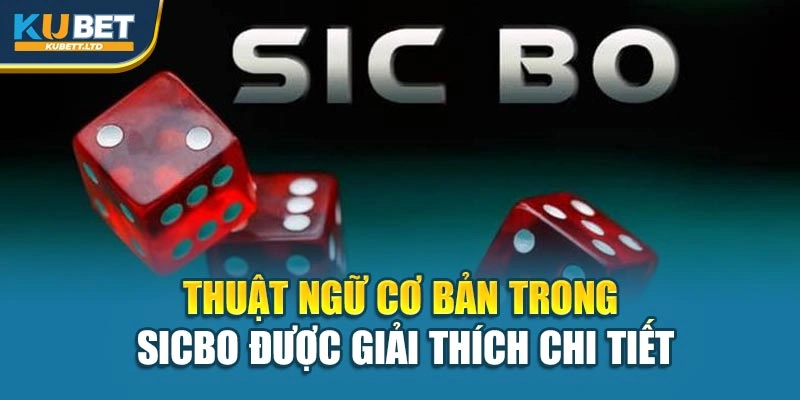 Thuật ngữ cơ bản trong Sicbo được giải thích chi tiết